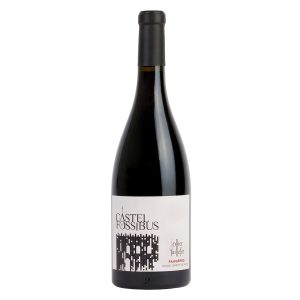Faugères du Domaine Ollier Taillefer – Castel Fossibus  –  Bio