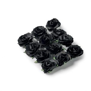 12 Roses noir