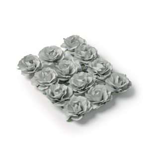 12 Roses grise
