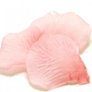 100 PÉTALES DE ROSE EN TISSU ROSE